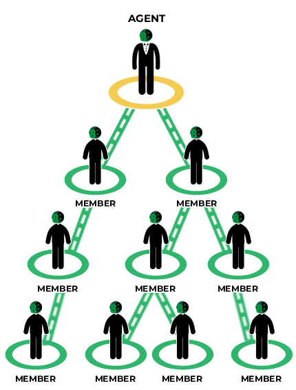 Agent Pyramid Structure